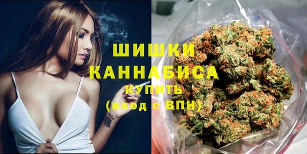 ECSTASY Яровое
