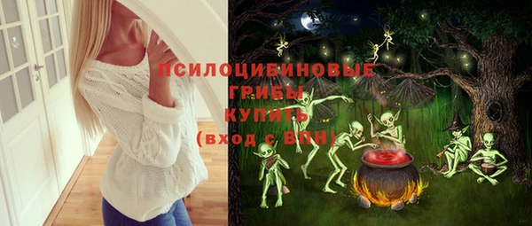 индика Иннополис