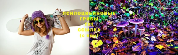 2c-b Киреевск