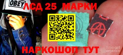 гидропоника Донецк