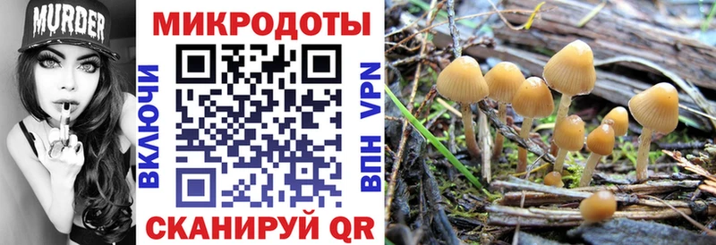 Псилоцибиновые грибы мицелий  Узловая 